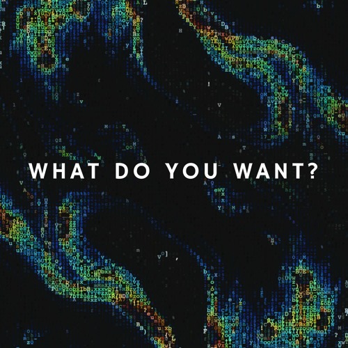What Do You Want?