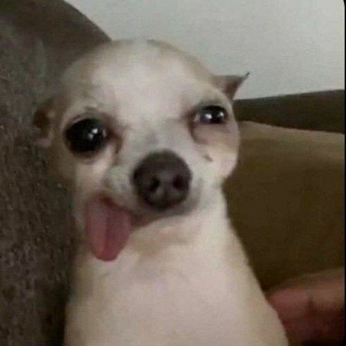 دبكة إياد مشعل - ابو شوقي - بطيء(M4A_128K).m4a