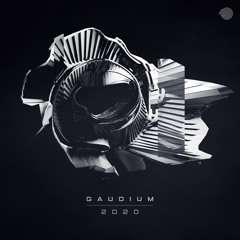 GAUDIUM - Session Of Progression (Iboga Records)