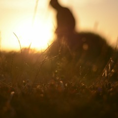 Deep Notion Sounds Vol. 1