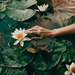 ~KAZ-Blessing (Noї Remix)~