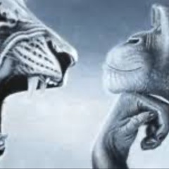 durban poison (prod Slugwurf)