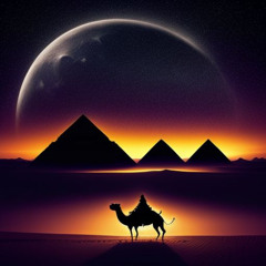 Gamal fi el-Zalam