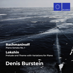 Piano Sonata No. 1 in D Minor, Op. 28: I. Allegro Moderato