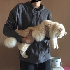 ดีเเท้อ้าย