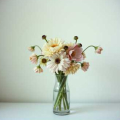 Good thing about cheap love