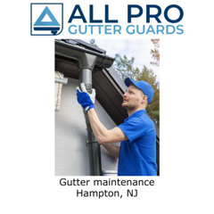 Gutter maintenance Hampton, NJ