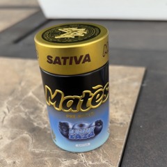 NEVER LEAVE (feat. bristoven)