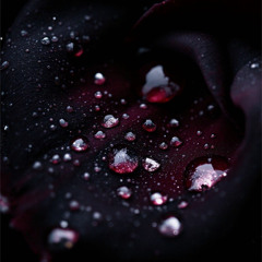 Still Falling (Extended Mix)