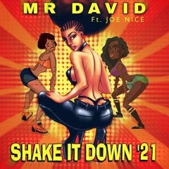 Mr. David ft, Joe Nice-Shake It Down '21