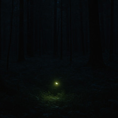 Luma