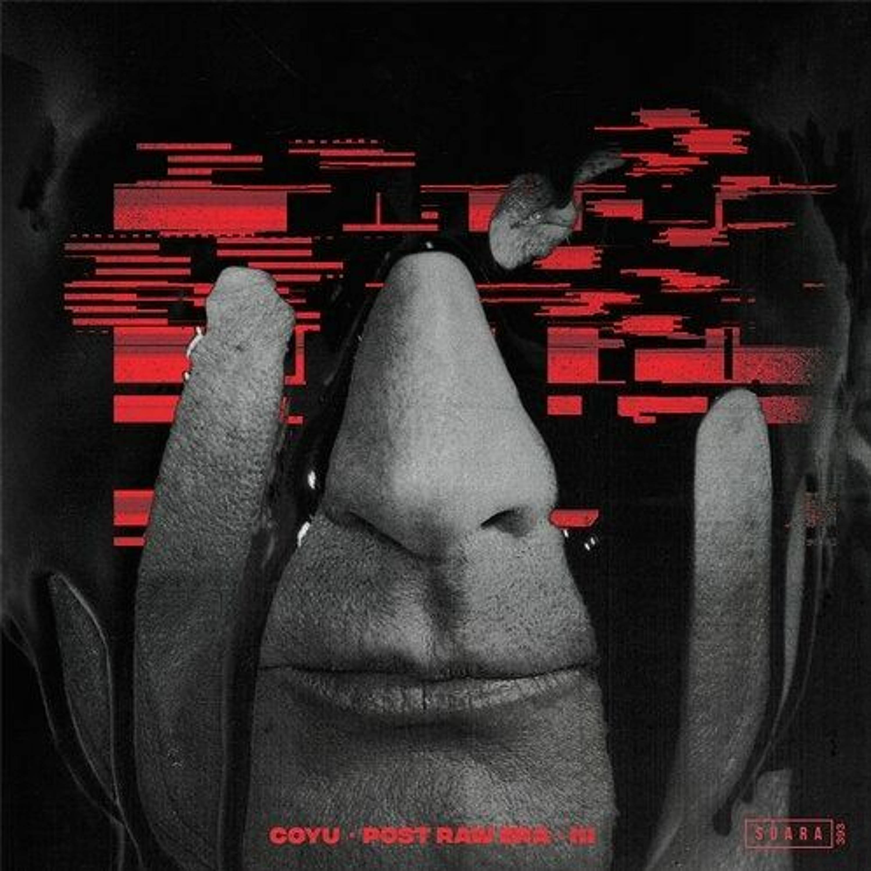 Vily Vinilo
