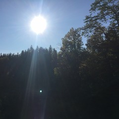 Mother Warrior _ In loving memory of Minoo Majidi _ (guitar composition)