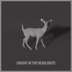 Caught in the Headlight .aac
