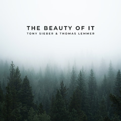 The Beauty of It (Reimagined)(Snippet)