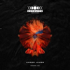 SR002 - Andec James - Down Vo