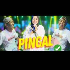 PINGAL | WORO WIDOWATI, ft. Lagista (Official Music Video ANEKA SAFARI).mp3