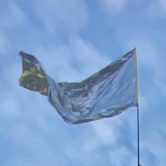 Fahne am Letzigraben