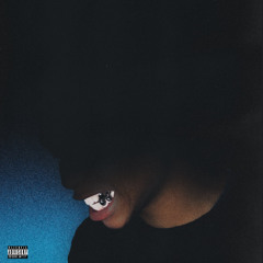 k1llbrady - private (ft. jaykatana)/pet peeve