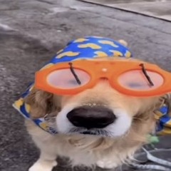 Oh my God *full song*