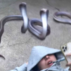 BETTERFASTERSTRONGER