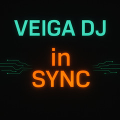 VEIGA DJ - RLK (ÁLBUM IN-SYNC)
