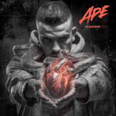 APE - Wybory