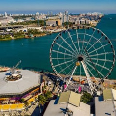 Best Weird Things To Do In Miami Tours Review