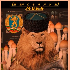 Иска ми се да беше тук~/~D【﻿м аи с е л и у м】М 0 Б Б