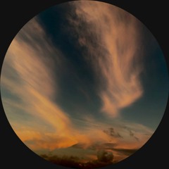 CODECAST X - SAM WILSON - Impulse Response