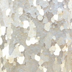 Friends Is Friends (Demo)