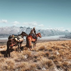 Episode 10 - The Slow Down - Human And Horse