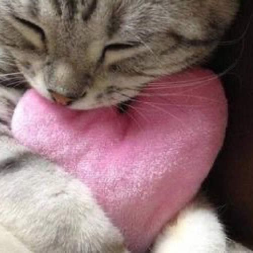 take it all at this point