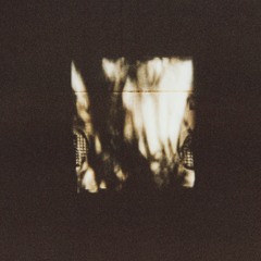 This crack in the door