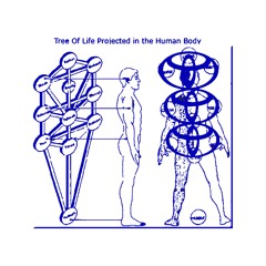 Tree of Life Projected on the Human Body (2018)