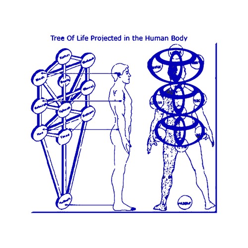 Tree of Life Projected on the Human Body (2018)