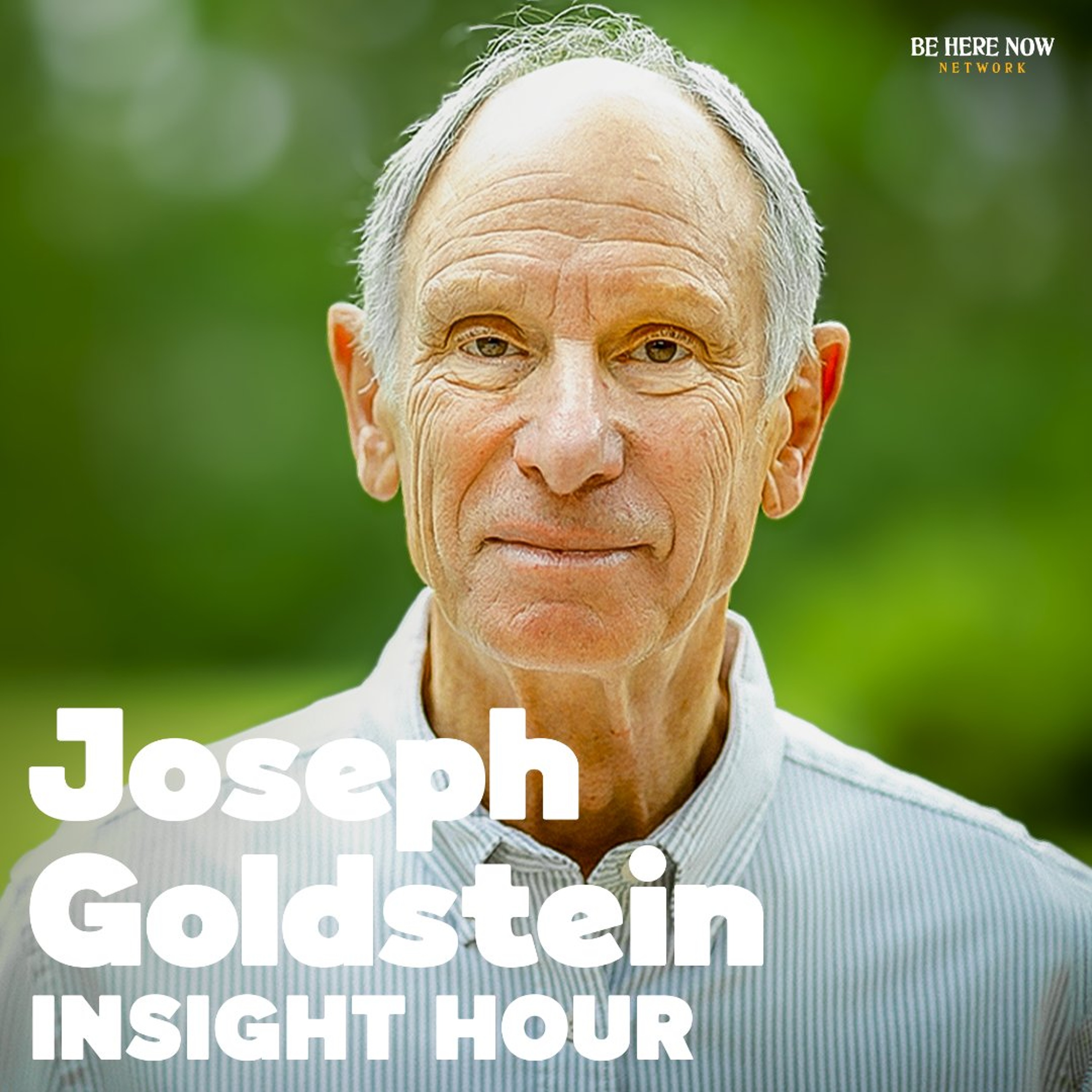Exploring Nibbana with Joseph Goldstein | Insight Hour Podcast Ep. 264 episode artwork
