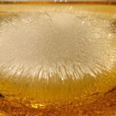 Bubbles With Samples