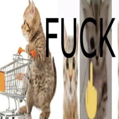 😹