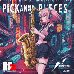 Pick and Pieces (2025 Remix RADIO) / Hakuei.K