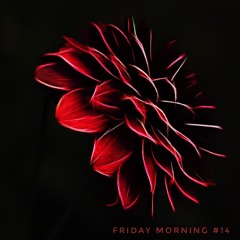 Friday Morning #14