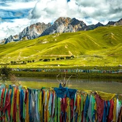 Primavera a la praderia tibetana