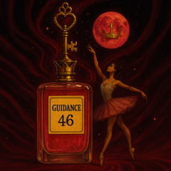 GUIDANCE 46