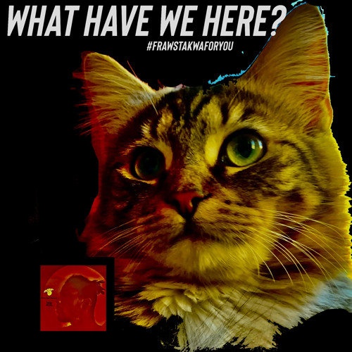 what have we here?