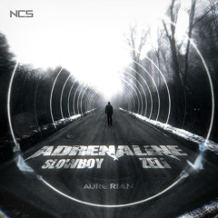 Adrenaline