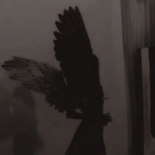 FALL FROM THE SKY PT2 - REMIX