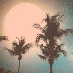 Washed Out Sunset (TO THE MOON)