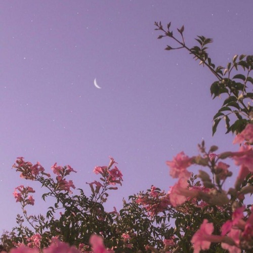 iann dior - flowers (slowed + reverb)