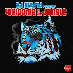 DJ Hybrid - High - OUT NOW!!
