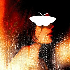 Let Me In(Prod. By Synclaire! x Garfeelyork)